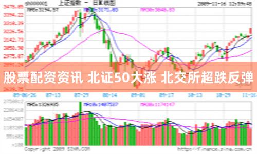 股票配资资讯 北证50大涨 北交所超跌反弹