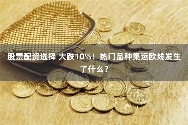 股票配资选择 大跌10%！热门品种集运欧线发生了什么？