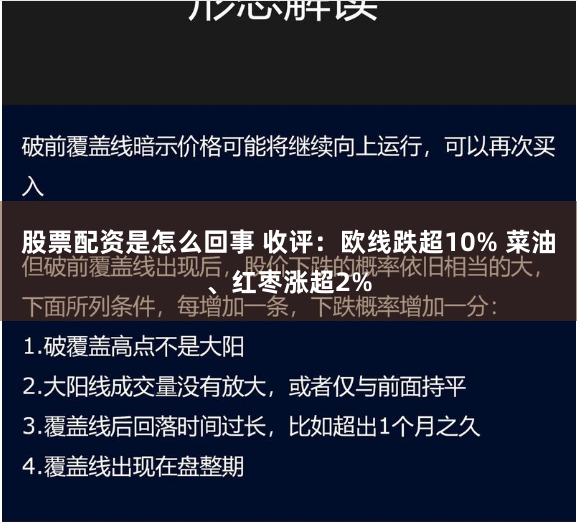 股票配资是怎么回事 收评：欧线跌超10% 菜油、红枣涨超2%
