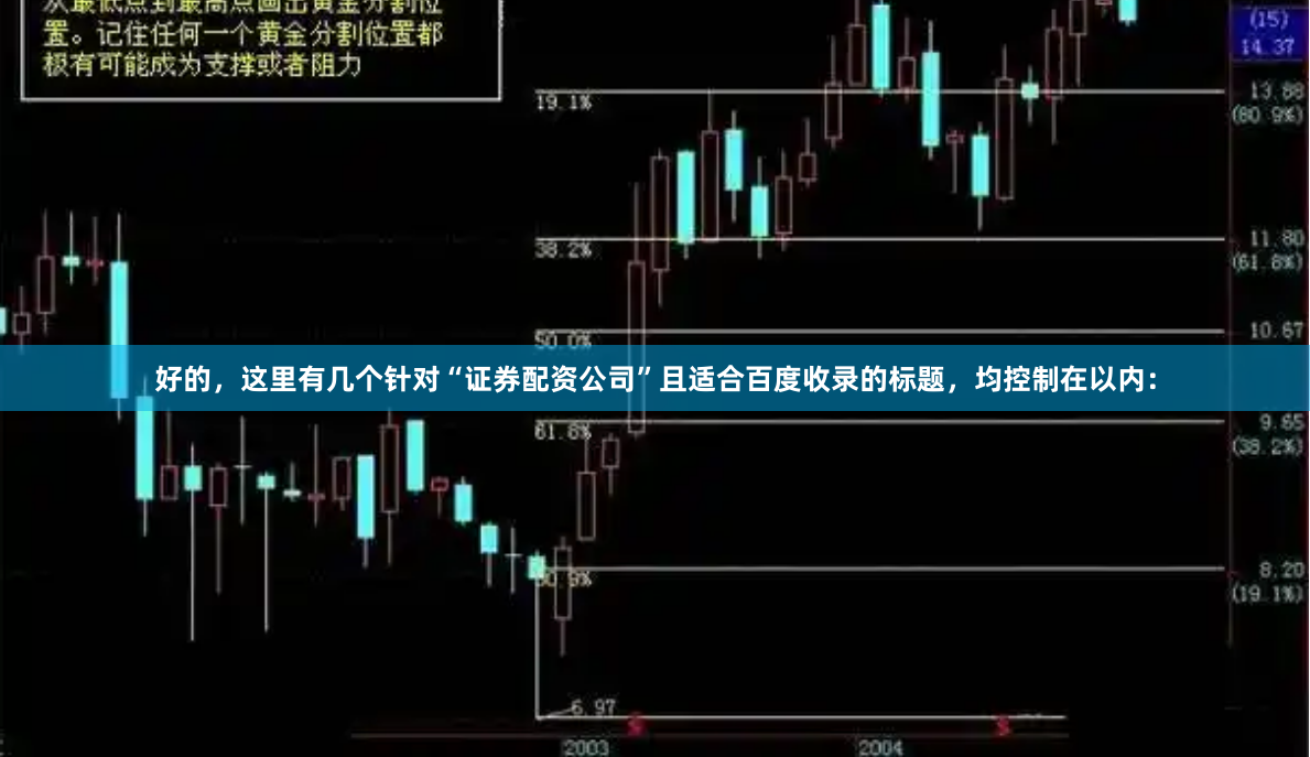 好的，这里有几个针对“证券配资公司”且适合百度收录的标题，均控制在以内：