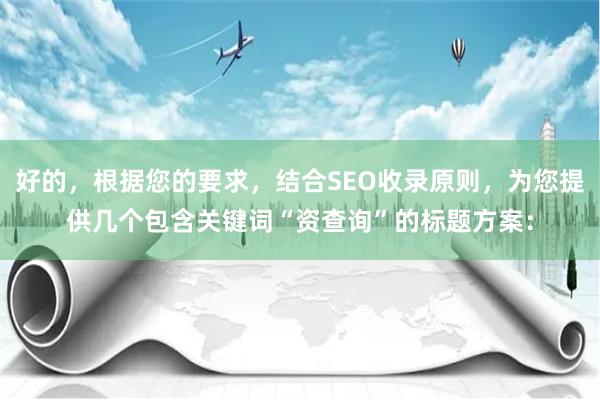 好的，根据您的要求，结合SEO收录原则，为您提供几个包含关键词“资查询”的标题方案：